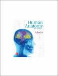 TVS.000856- Human Anatomy in English 2017 GT.pdf.jpg