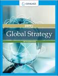 TVS.005326_TT_Mike W. Peng - Global strategy (2022).pdf.jpg