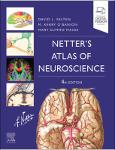 TVS.005147_TT_David L. Felten MD  PhD, Michael K O_Banion M.D.  Ph.D., Mary E Maida Ph.D. - Netter_s Atlas of Neuroscience (Netter Basic Science)-Else.pdf.jpg